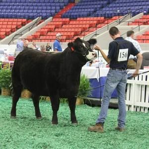 Meet your Posher, Luke